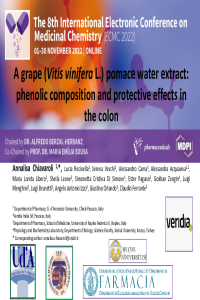 sciforum-065802.pdf