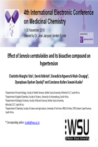 e-conference PPT.pdf