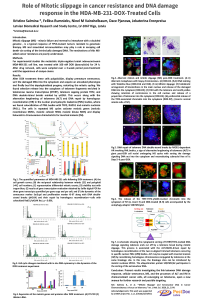 sciforum-042003.pdf