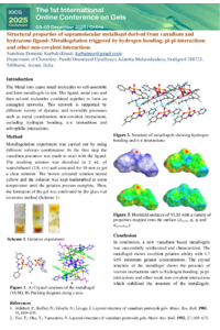 Poster.pdf
