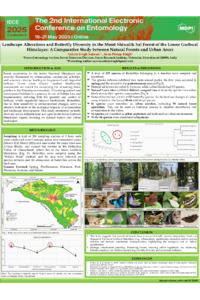 Poster IECE 2025.pdf