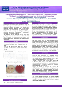 conference poster 16 Dec.pdf