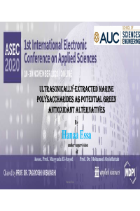 PPT for conference 2020.pdf