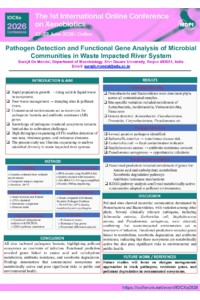 sciforum-179489 .pdf