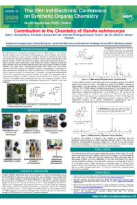 Poster Chem Proc.pdf
