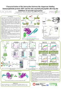 Berube_F_poster_sciforum-109248.pdf
