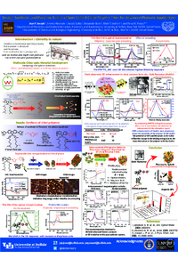 sciforum-111692.pdf