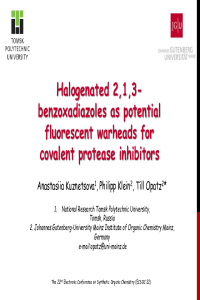 Presentation ECSOC 22 Kuznetsova, Klein, Opatz.pdf