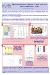poster english.docx.pdf