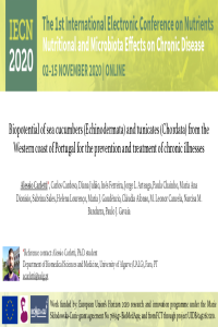 Carletti et al_PRESENTATION_2020_10_14.pdf
