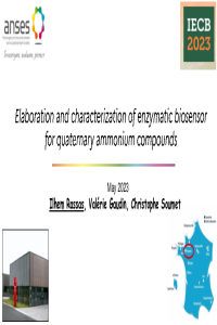 presentation IECB-May 2023-VG.pdf
