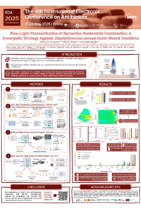 Poster_ECA_Ariana_Gonçalves[1].pdf