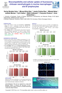 Poster_SN Voicu.pdf