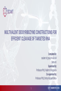 Michael_Batsa_Conference_2022.pdf