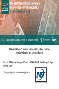 IECP 2020 Nikolaiev.pdf