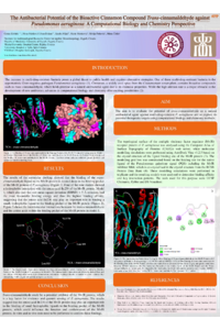 E-poster (Slivšek et al.).pdf