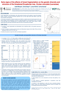 ocotea.pdf