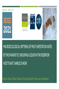 sciforum-043507-BDEE 2021.pdf