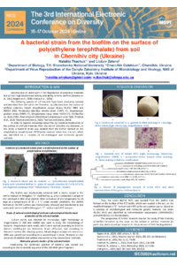 088149-Poster-Tkachuk_Zelena-A strain Achromobacter.pdf