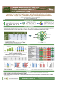 Poster IECAG 2024 sciforum-107096.pdf