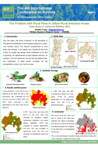sciforum-100063_DanielaFraga.pdf