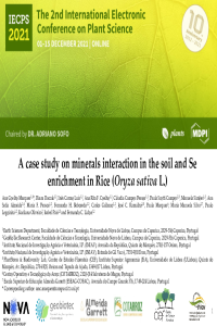 Marques et al_Presentation.pdf