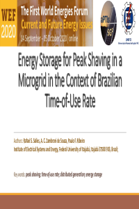 WEF - Rafael S. Salles.pdf
