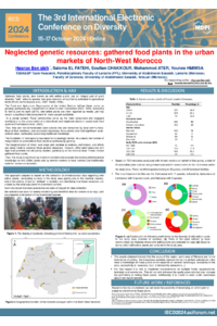 Hasnae IECD poster template_HB.pdf