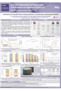 SP_Poster_ASEC2024.pdf