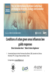 slides BBDE.pdf