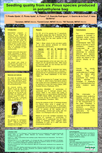 Seedling quality from six Pinus species produced in polyethylene bag.pdf