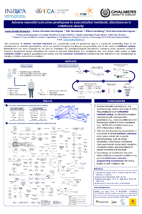 poster_LJS.pdf