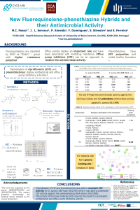 MCP_Poster.pdf