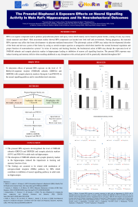 sciforum-041860.pdf