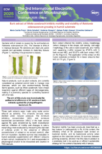 MCP Ralstonia.pdf