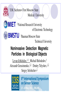 Ichkitidze-031448- MDPI-2021.pdf