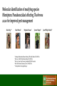 mealybug ID conference presentation_17jun2021.pdf