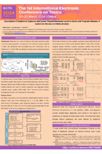 mazhar poster.pdf