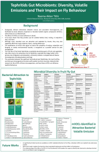 file for sciforum IECD2022.pdf