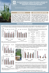 poster-sciforum-043900.pdf