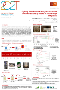 Poster ECCM.pdf