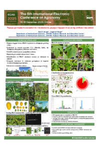 Poster.pdf