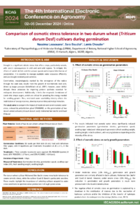 Poster IECAG 2024 Nassima Lassouane.pdf