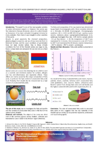 9th-ECMC_Kutsanyan.pdf