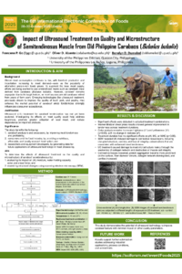 sciforum-131071.pdf