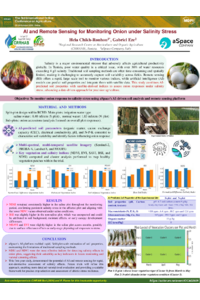 HELA Poster onion 2025 (60 width - 80 height).pdf
