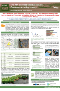 Coelho et al_IECAG2024_Poster.pdf