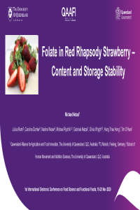 1IECFSFF_MDPI_Michael Netzel.pdf