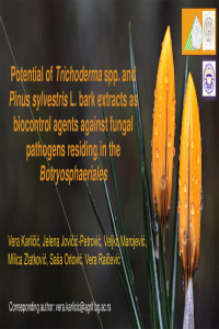 Potential of Trichoderma spp. and Pinus sylvestris bark extracts.pdf