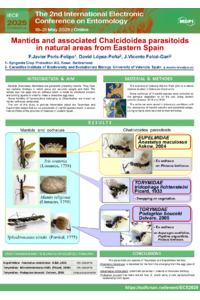 sciforum_118429_Mantids_and_associated_Chalcidoidea.pdf